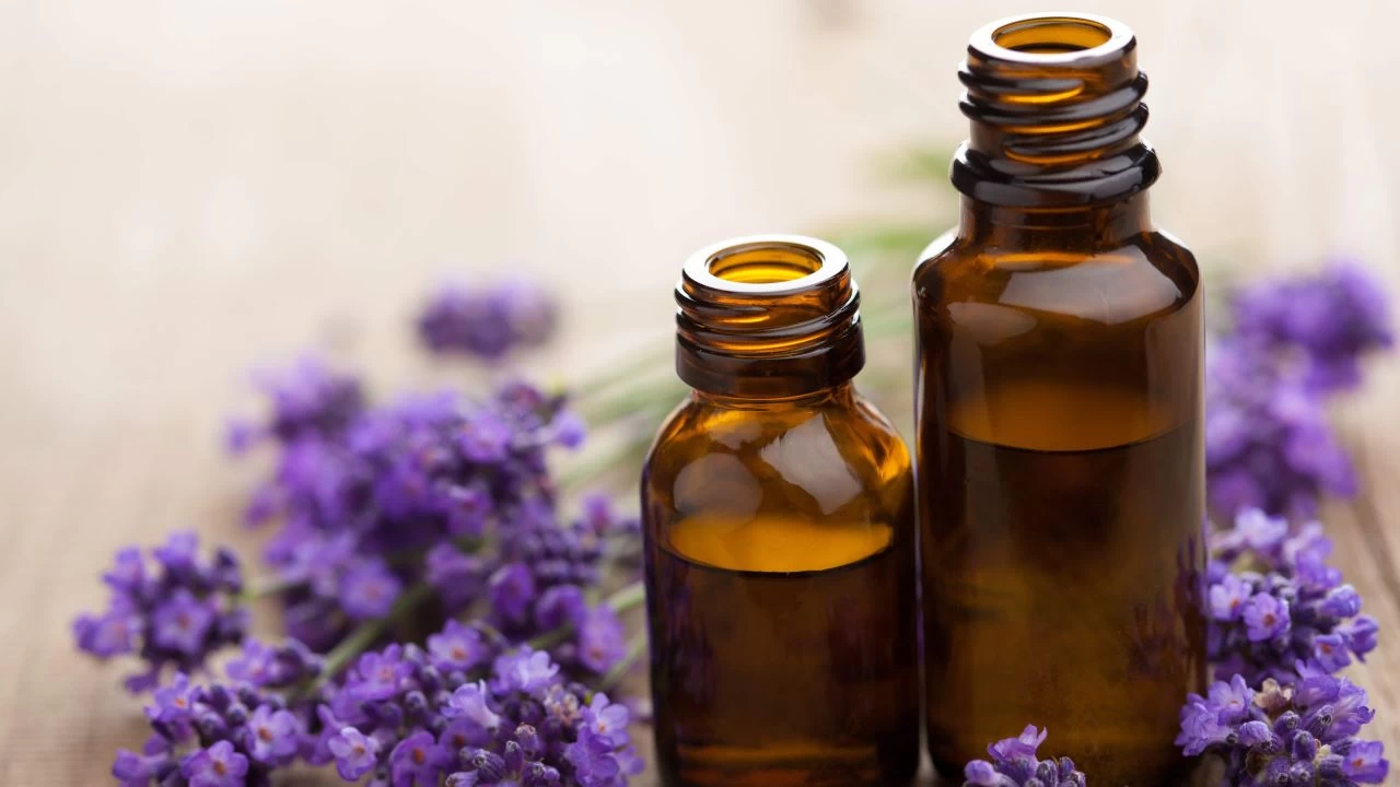 Bitkisel ya�lar�n ba����kl�k sistemi �zerindeki etkileri