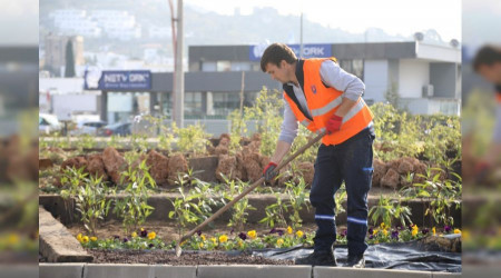 Bodrum’da peyzaj çalışmaları devam ediyor