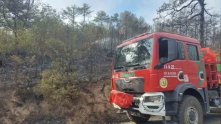 Bolu'da orman yangını kontrol altına alındı