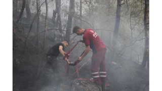 Bolu'daki orman yangn sryor: Ekipler ve kyller seferber oldu