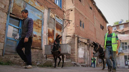 Bu eşekler 'kadrolu'