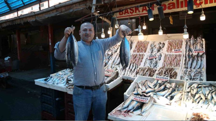 Bu senenin bal�k �ampiyonu 'palamut' oldu