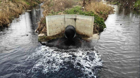Bu yıl da müsilaj tehdidi kapıda