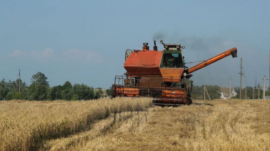 Bu�day fiyat� tam gaz yukar�