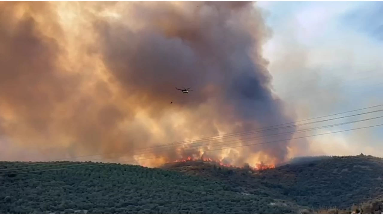 Bursa'da orman yang�n�yla amans�z m�cadele s�r�yor