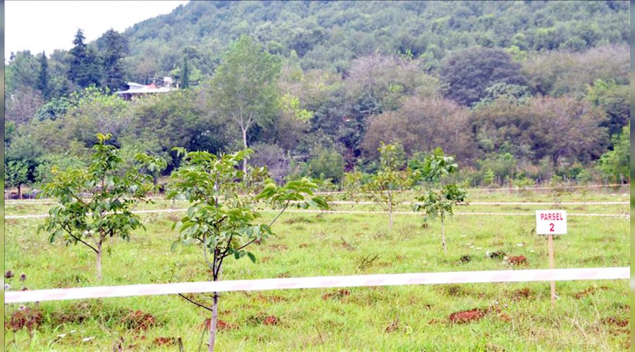 B�t�enin bir yamas� da 2B'den 