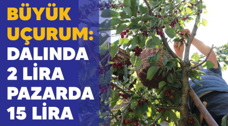 Büyük uçurum: Dalında 2 lira, pazarda 15 lira