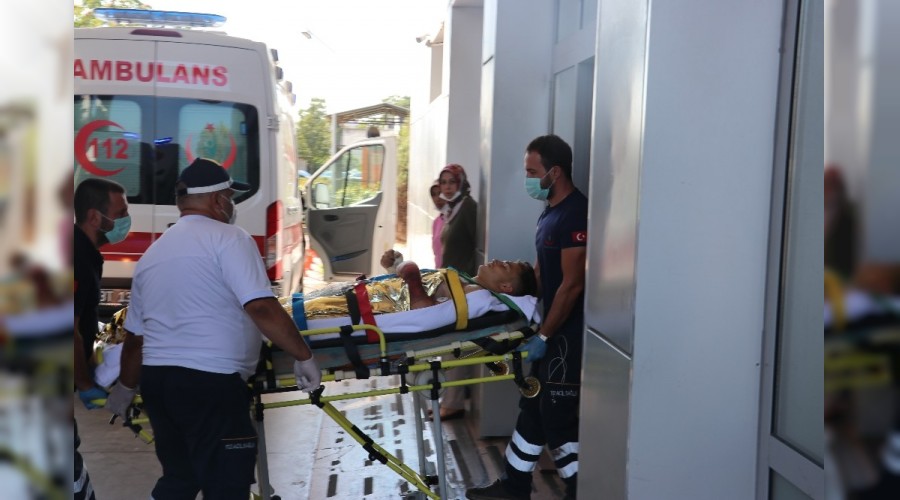 Çam kozalağı toplarken akıma kapıldı