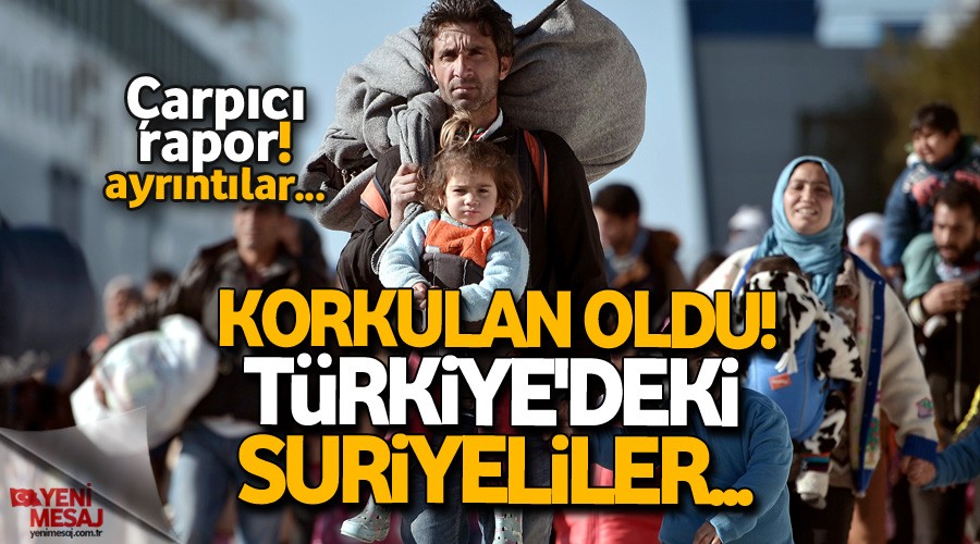 Çarpıcı rapor! Savaş bitse bile gitmeleri zor