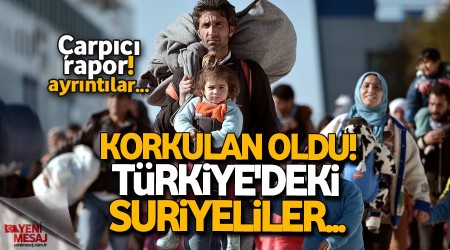 Çarpıcı rapor! Savaş bitse bile gitmeleri zor