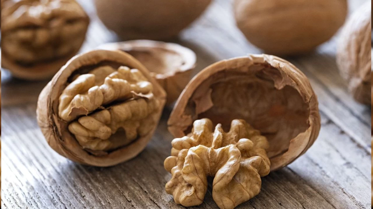 Cevizin faydaları saymakla bitmiyor