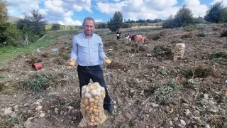 Çiftçiler arpa, buğday yerine patates üretimine yöneldi