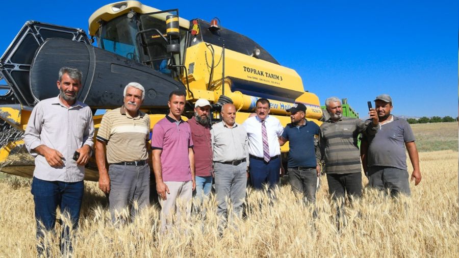 Çiftçilere dağıtılan tohumlar hasat ediliyor