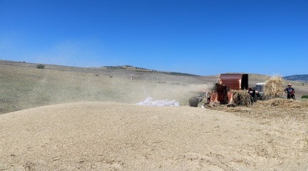 Çiftçinin alınteri
