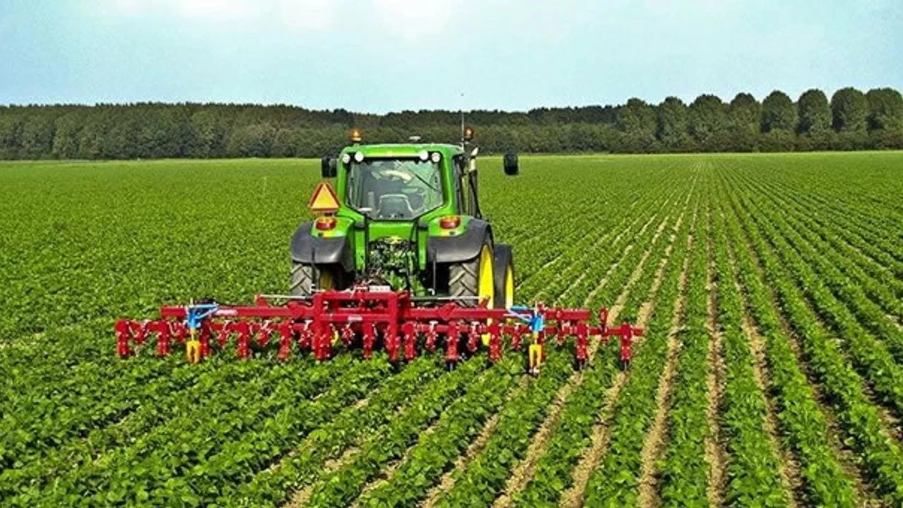 Çiğli'de tarım: Daralan alanlar, artan sorunlar