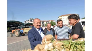Corafi iaretli Takpr sarmsa pazara indi
