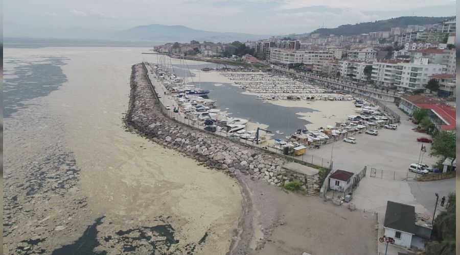 Deniz salyalar� canl�lar�n sonu oluyor