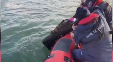 Denize düşen yaşlı kadın kurtarıldı