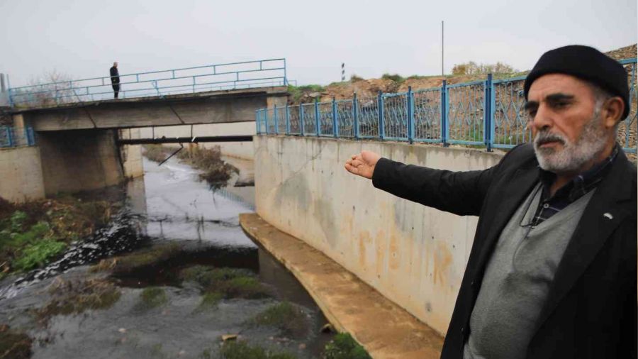 Deredeki balk lmleri vatandalar tedirgin ediyor