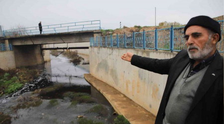 Deredeki balk lmleri vatandalar tedirgin ediyor