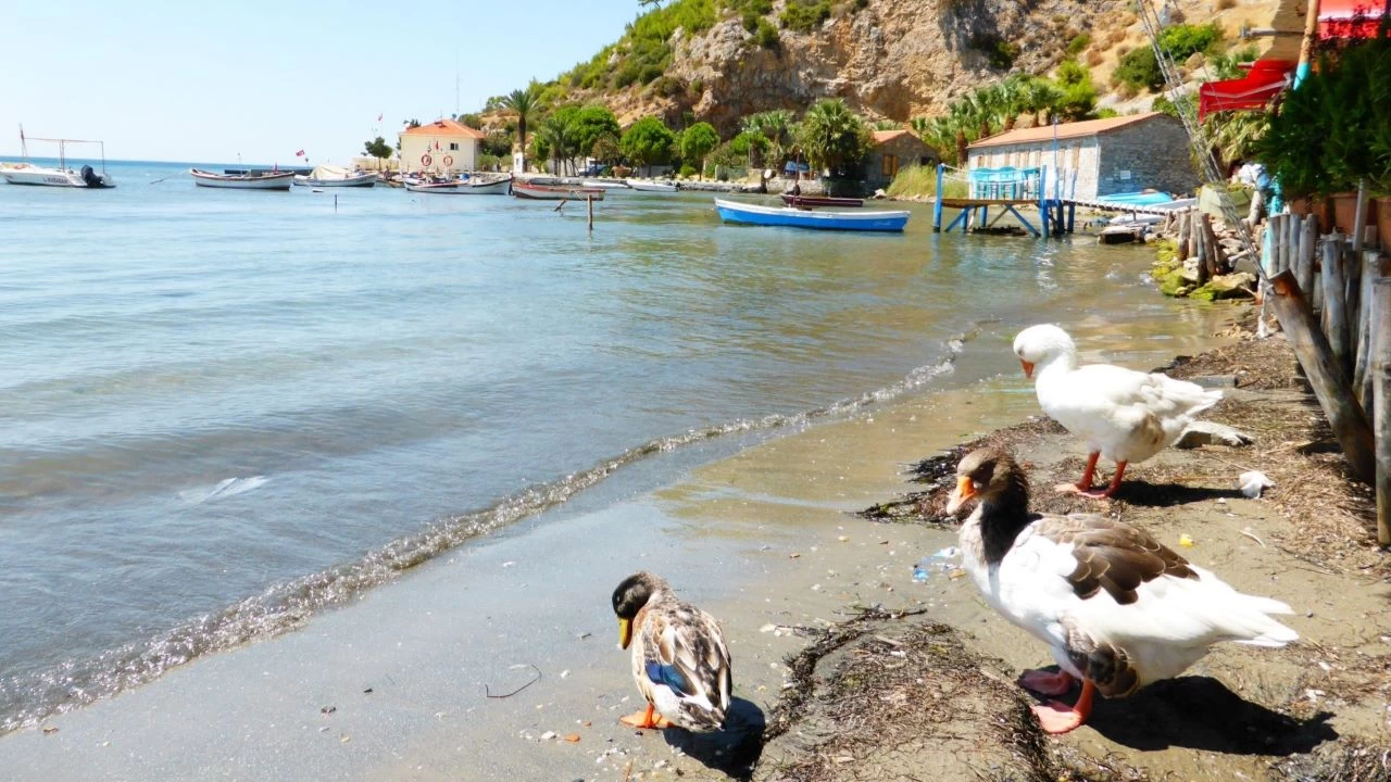 Doanbey: Mbadelenin sessiz ahidi 