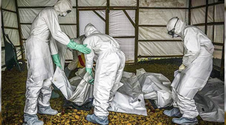 Ebola Uganda�ya s��rad�