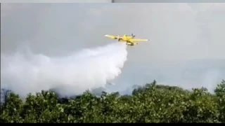 Edirne'de çıkan orman yangını kontrol altına alındı