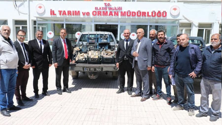 Elazığ'da 1 ton 150 kilogram kaçak avlanan balık yakalandı