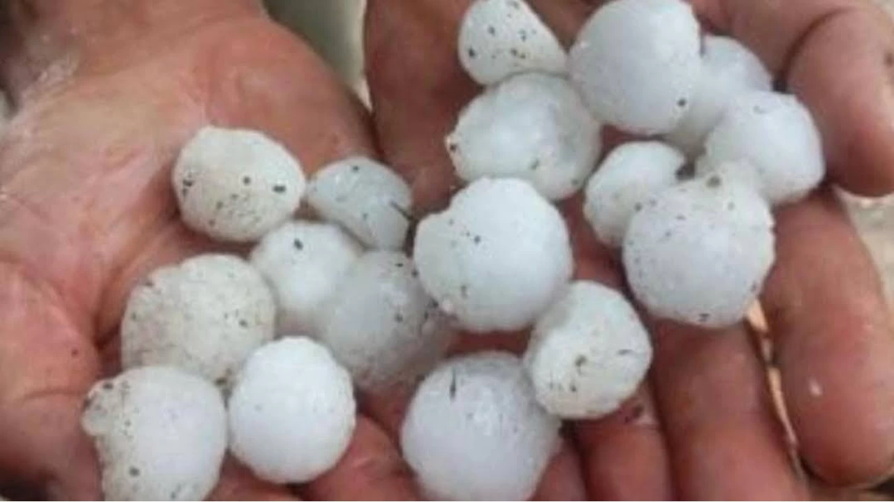 Elaz��'da misket b�y�kl���nde dolu ya�d�