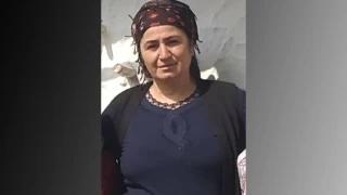 Elektrik akmna kaplan 2 ocuk annesi ld
