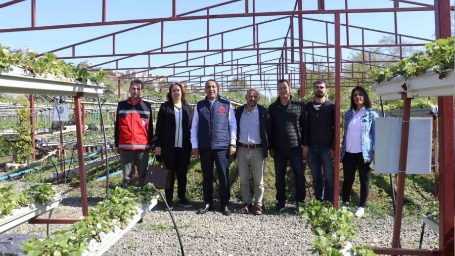 'En son çare kimyasal mücadele'