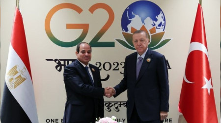 Erdoğan Hindistan'da Sisi ile görüştü