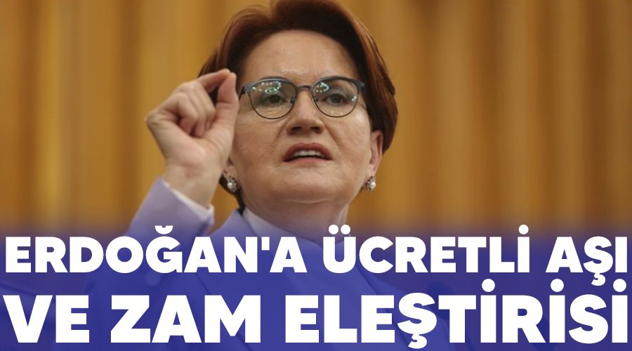 Erdoan'a cretli a ve zam eletirisi