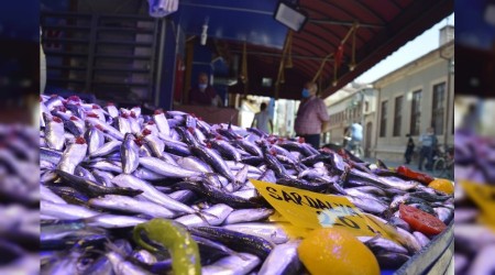 Eskişehir'de balık sezonu durgun başladı