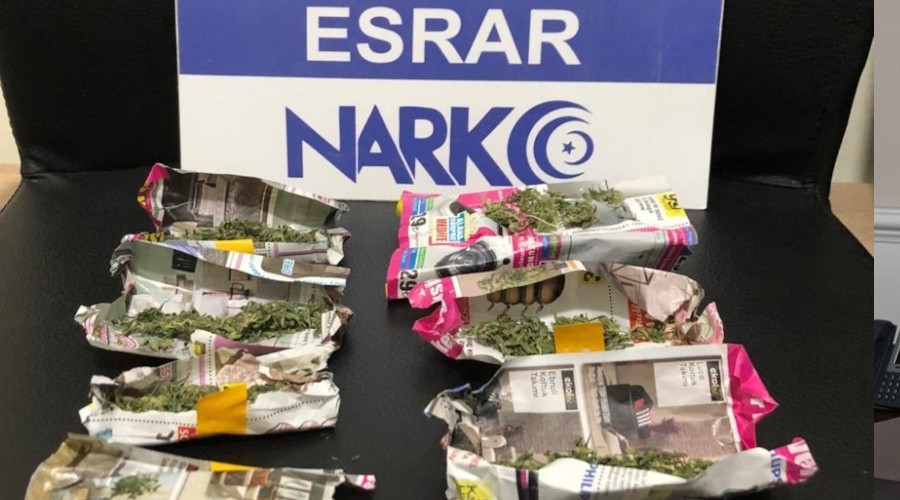 Evini uyuşturucu tarlasına çevirmiş