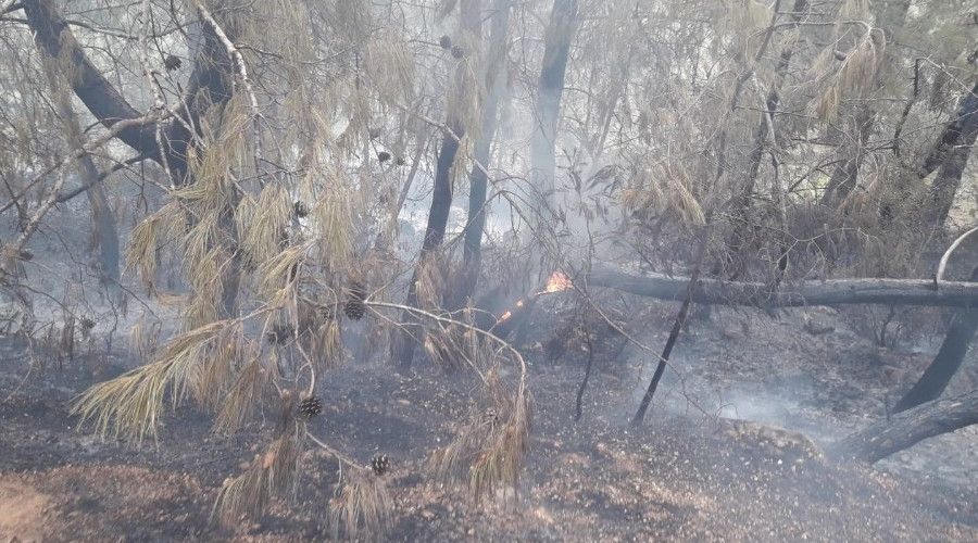 Fethiye'de orman yangını