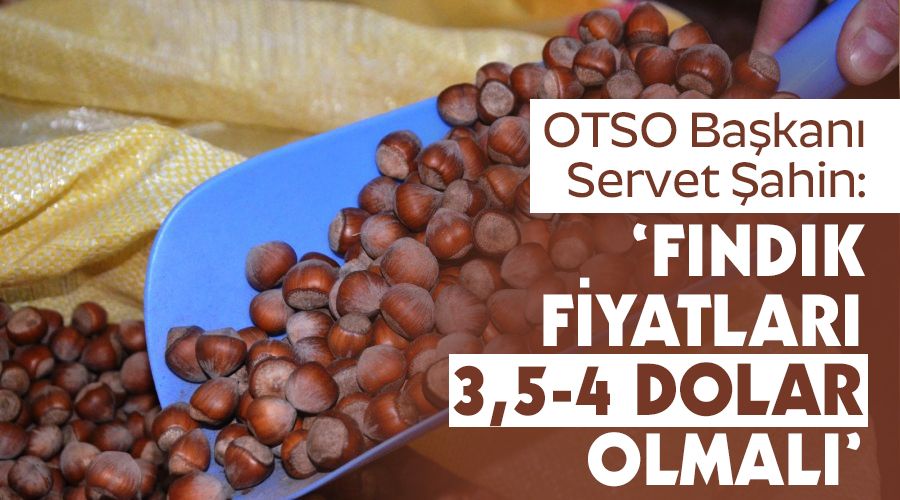 'Fındık fiyatları 3,5-4 dolar olmalı'