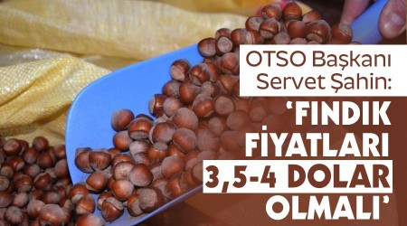 'Fındık fiyatları 3,5-4 dolar olmalı'