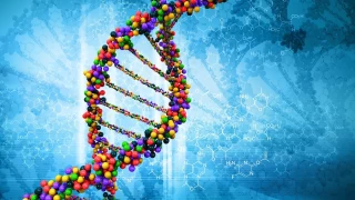 Genetik Haritada Yeni Bir Katman: Karanlk DNA