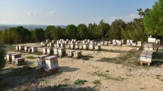 Gda gvenliinde geldiimiz nokta