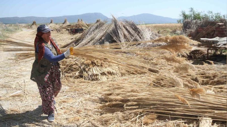 G�llerden toplanan kam��lar ge�im kap�lar� oldu