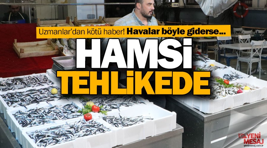 Hamside s�cak hava tehlikesi
