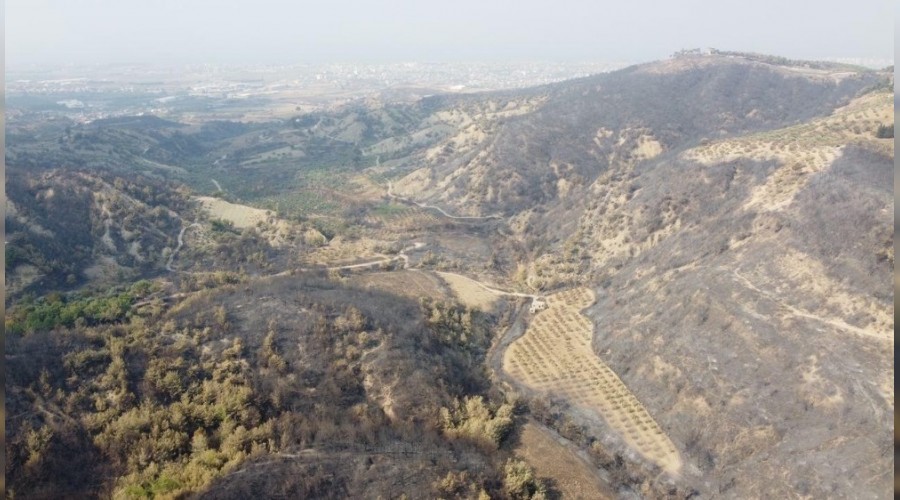 Hatay'daki orman yangınında 300 hektar alan zarar gördü