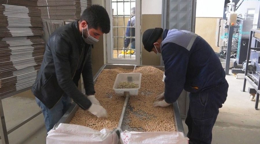 İhtiyaç sahiplerine 2 bin paket nohut ve kuru fasulye