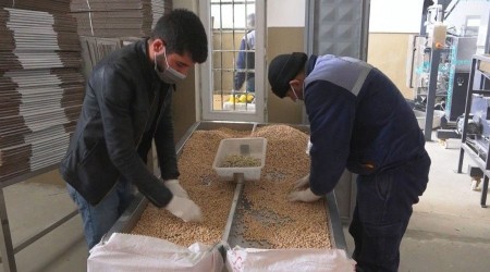 İhtiyaç sahiplerine 2 bin paket nohut ve kuru fasulye