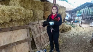 İki çocuklu kadına komşusunun dobermanı saldırdı