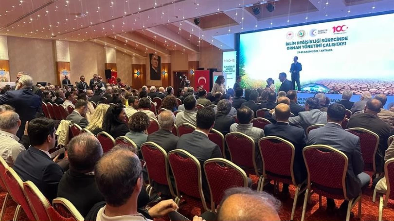 �klim De�i�ikli�i S�recinde Orman Y�netimi �al��tay� sona erdi