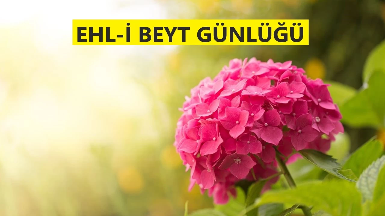 ��mam S�d�k ne kadar da bereketlidir�