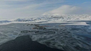 �mranl� adeta dondu, termometreler -19.4'� g�sterdi