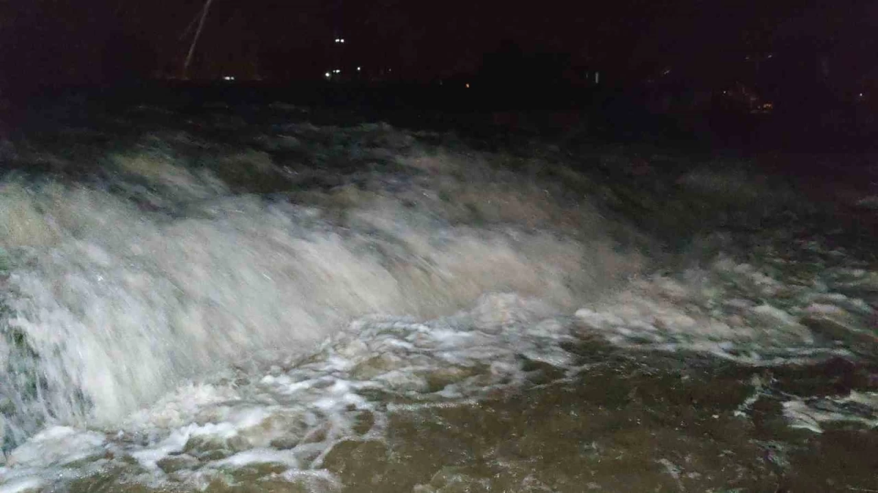 İnci kefalinin dillere destan göçü başladı
